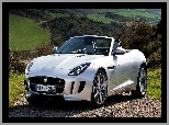 Jaguar F-Type, Kabriolet